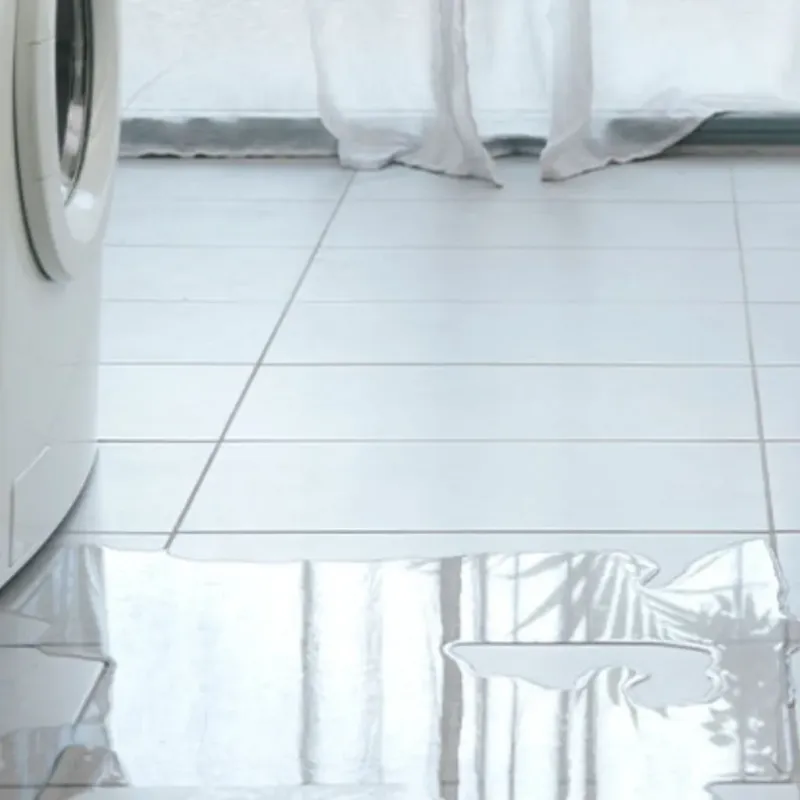 Appliance Leak Cleanup in Seabeck, WA
