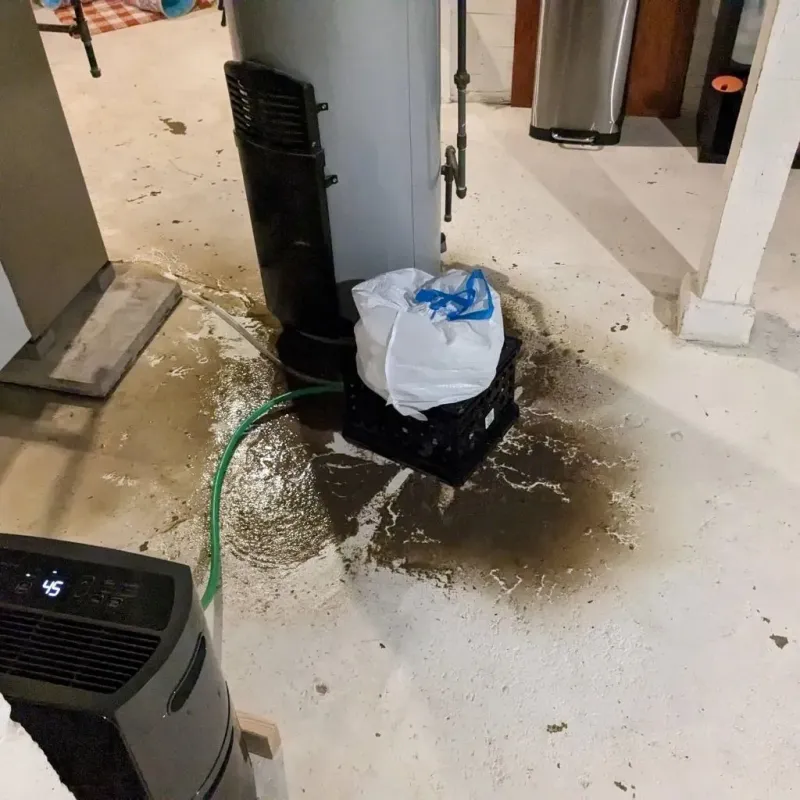 Sewage Backup Cleanup Service in Seabeck, WA